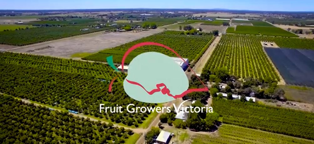 Fruit Growers Victoria