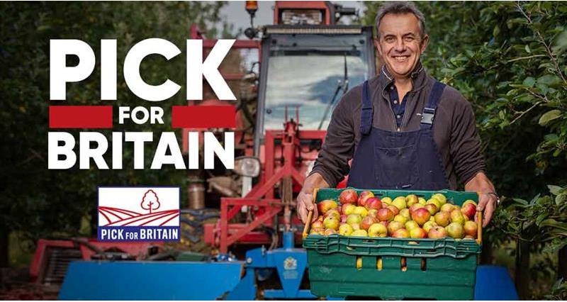 Pick for Britain pic