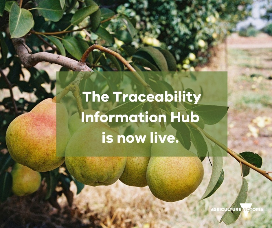 Agriculture Victoria has launched the Traceability Information Hub!