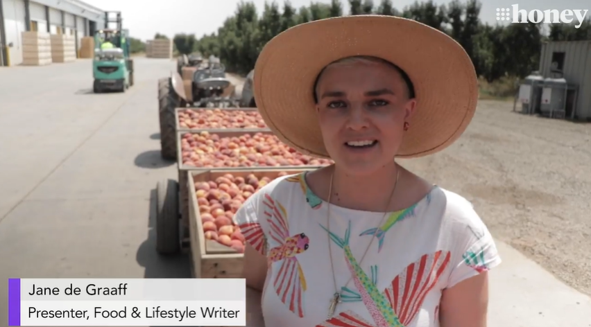 Floods blamed for summer stonefruit shortage- 9 News