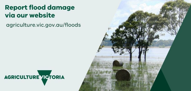 Report flood damage - Ag Vic 