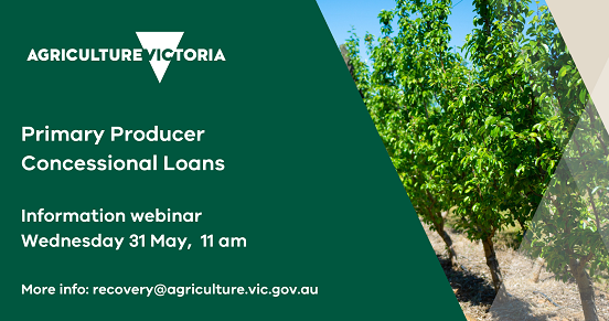 Primary Producer Concessional Loans webinar- Wednesday 31st May @ 11am: Growers Accountants are also encouraged to attend!