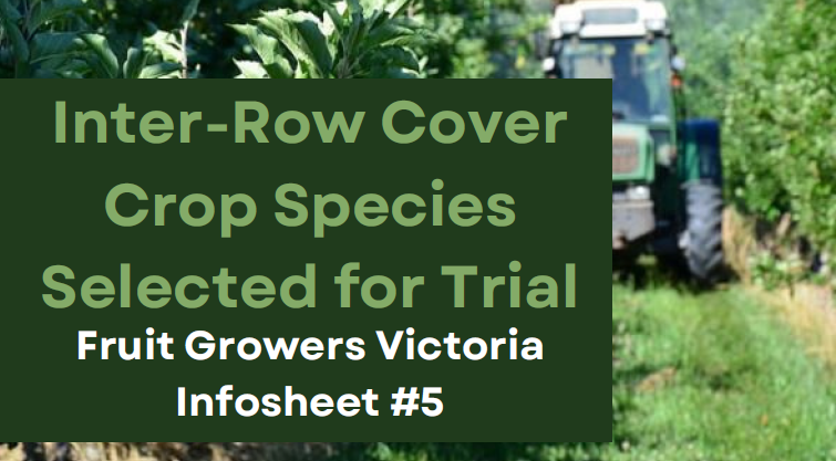 Cover Crop Info Sheet 5