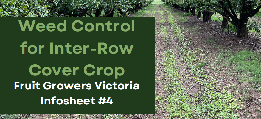 Cover Crop Infor Sheet 4