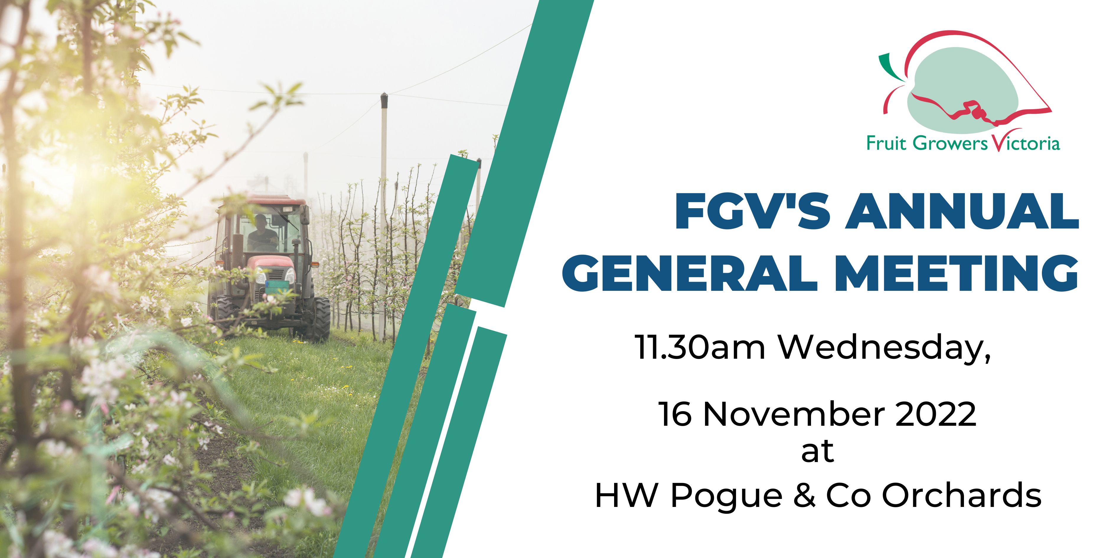 FGV AGM- Wednesday 16th November 2022
