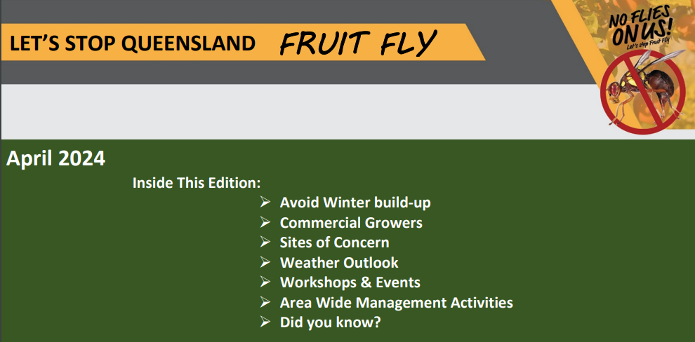Fruit Fly April 