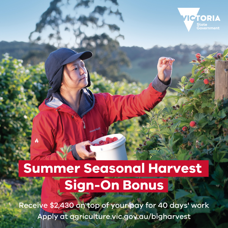 Summer Seasonal Harvest Sign-on Bonus