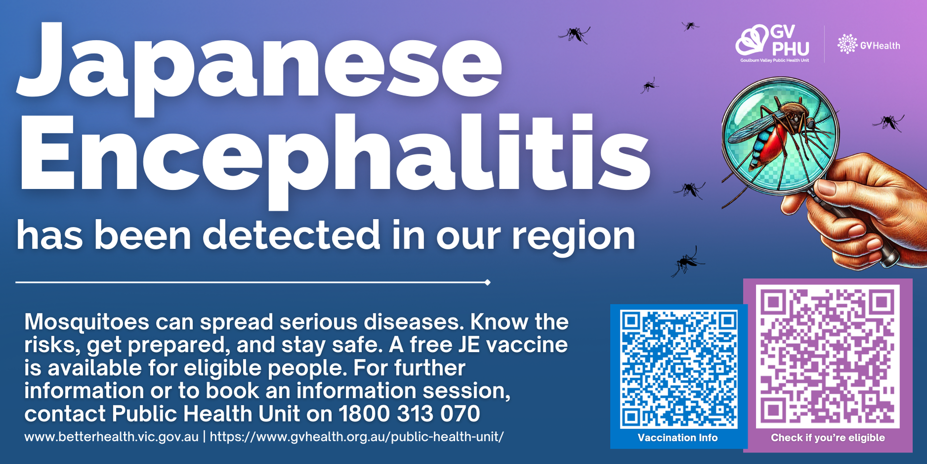 Japanese Encephalitis 