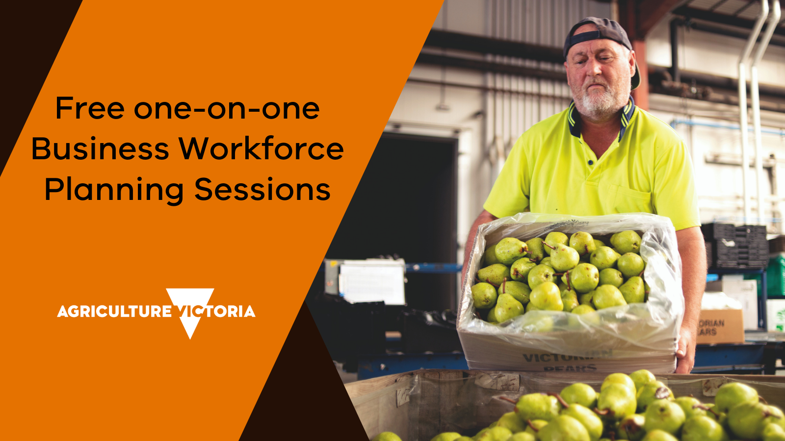 Horticulture Business Workforce Planning sessions