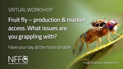 National Fruit Fly Council - Grower Workshops