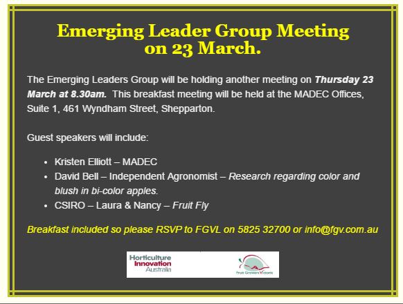 Emerging Leader Group meeting - Thursday 23 March
