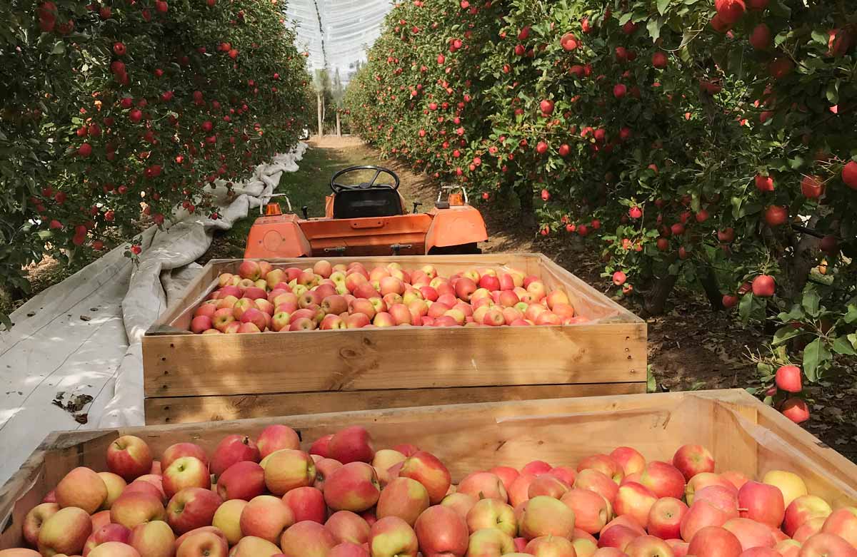 Register for seasonal work