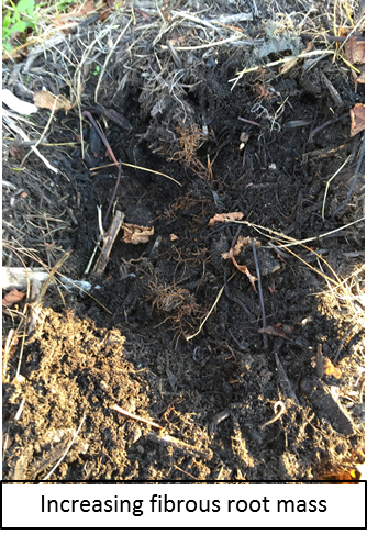 Compost pic 2.6.15