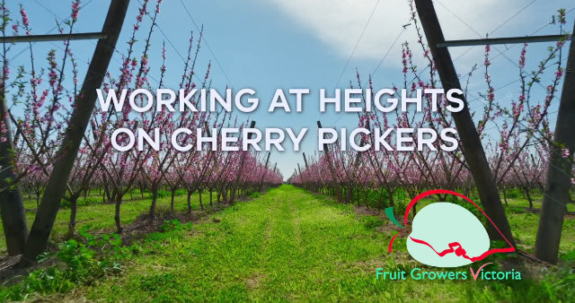 Cherry Picker Safety