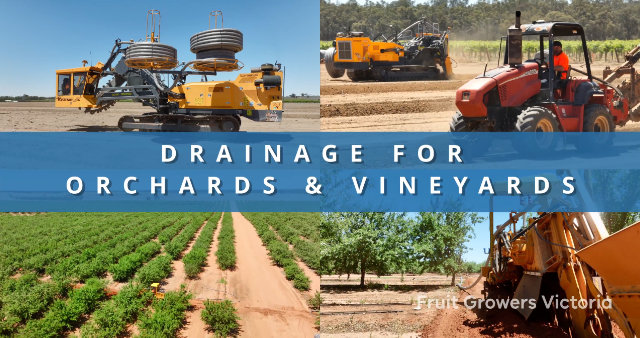 Drainage for Orchards