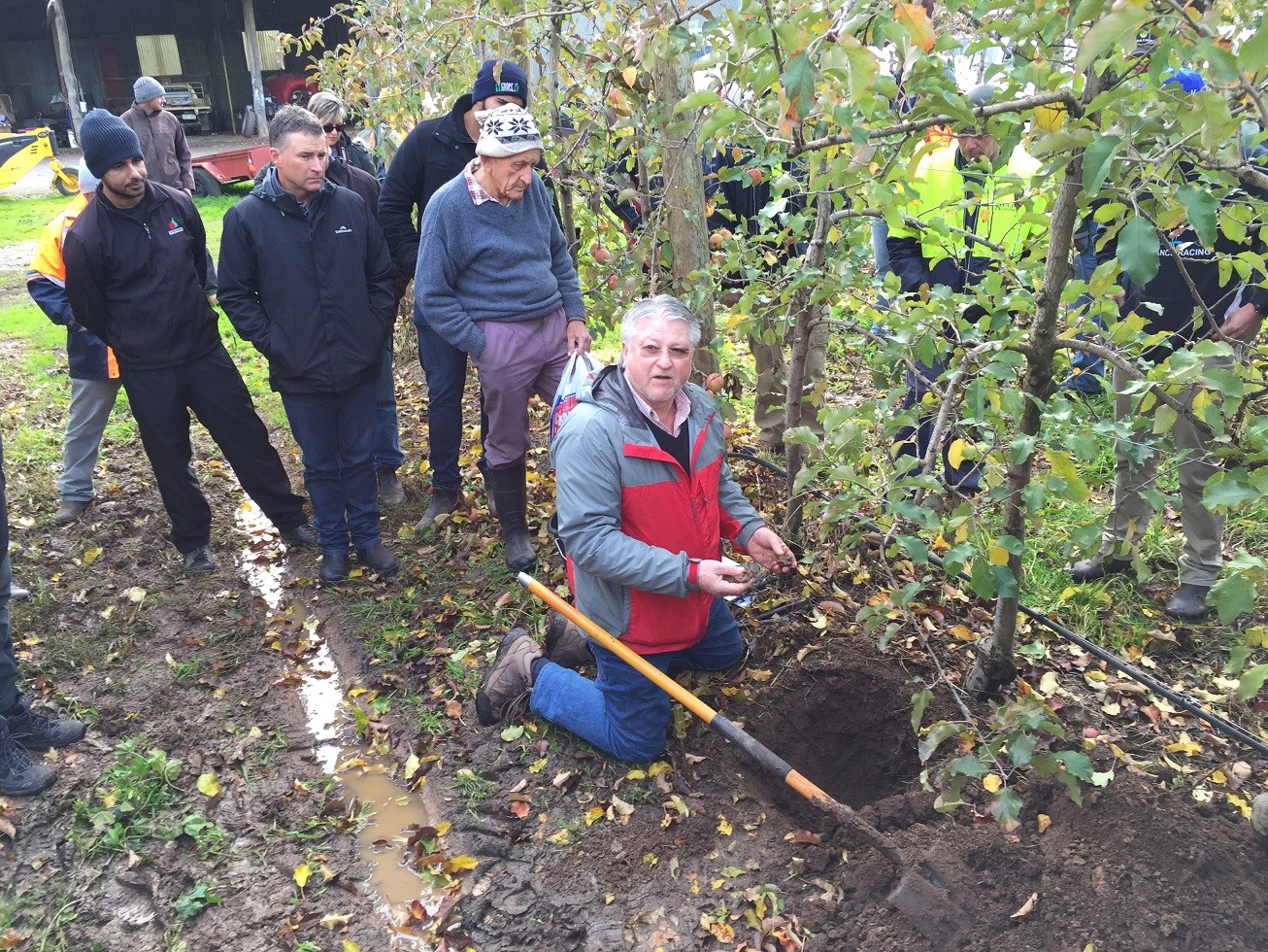 Future Orchard 010716 Pic 3