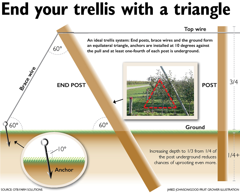 GFG trellis illustration 03012017