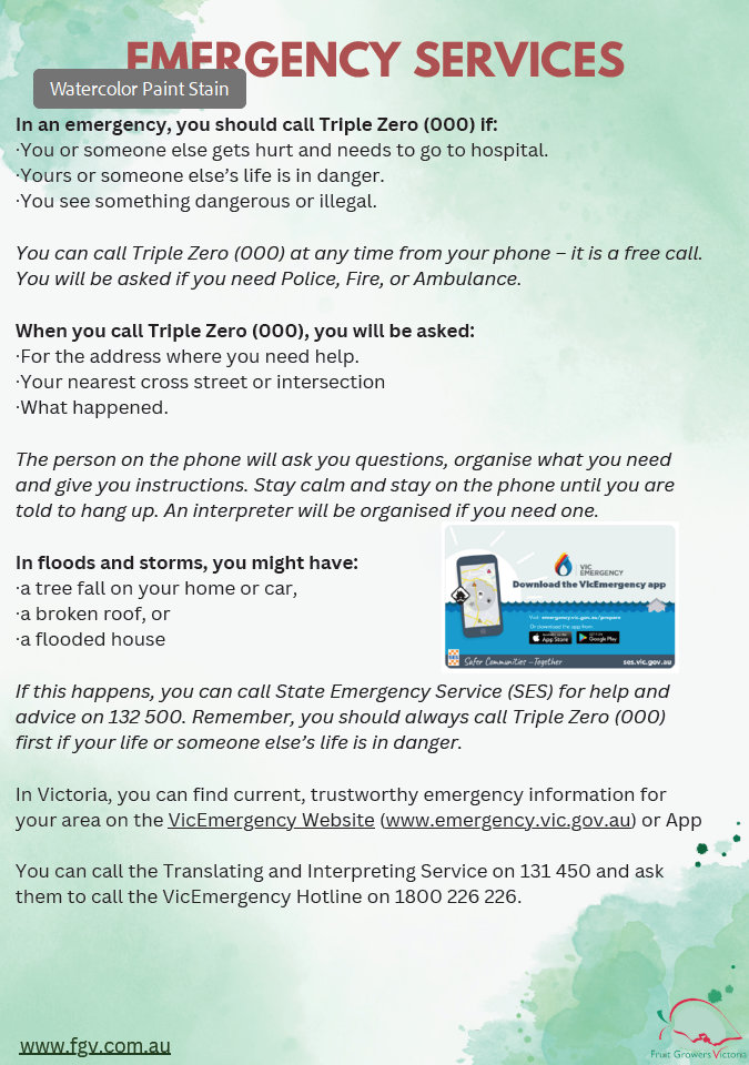 Info Flyer Emergency