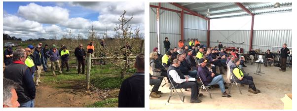 PBursac Future Orchards article pic 2 160920