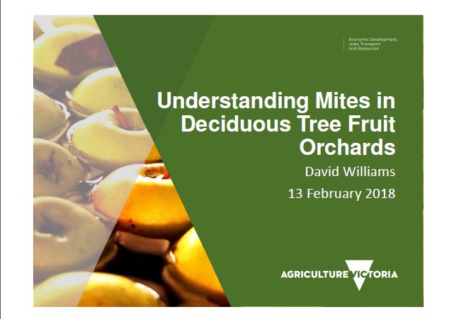 A great resource for growers - Understanding Mites In Deciduous Tree Fruit Orchards
