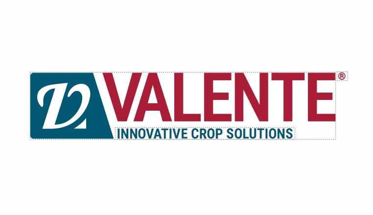 Valente SRI