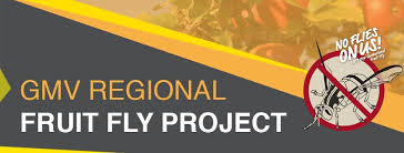 thumbnail GMV QFF Project